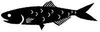 ANCHOVI.BMP