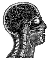 BUDBRAIN.BMP