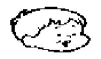 FACE102.BMP