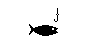 FISHING1.BMP