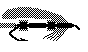FISHF28A.BMP