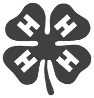 4_H.BMP