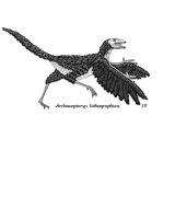 OLDBIRD.BMP