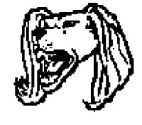 DOG72.BMP