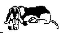 DOG68.BMP