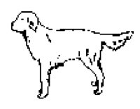 DOG67.BMP