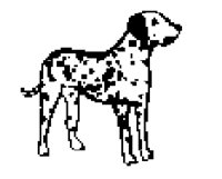 DOG66.BMP
