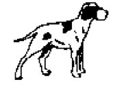 DOG64.BMP