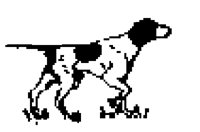 DOG63.BMP