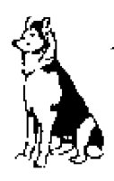 DOG62.BMP