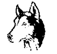 DOG60.BMP