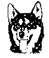 DOG59.BMP