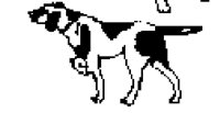 DOG56.BMP
