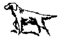 DOG55.BMP