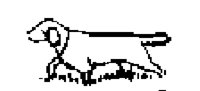 DOG54.BMP