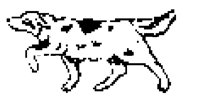 DOG53.BMP
