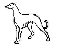 DOG50.BMP