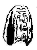 DOG49.BMP