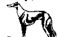 DOG48.BMP
