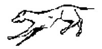 DOG45.BMP