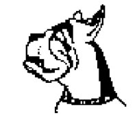DOG43.BMP