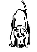 DOG42.BMP