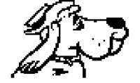 DOG4.BMP