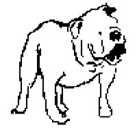 DOG38.BMP