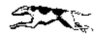 DOG37.BMP