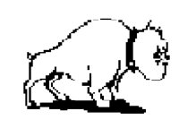 DOG35.BMP