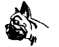 DOG27.BMP