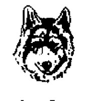 DOG23.BMP