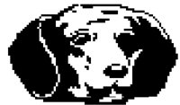 DOG17.BMP