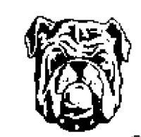 DOG13.BMP