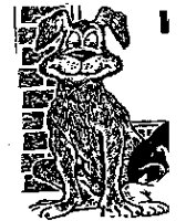 DOG1.BMP