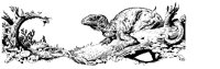 DINO.BMP