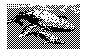 WHALES.BMP