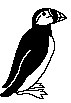 PUFFIN.BMP