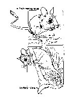 POSSUM.BMP