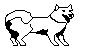 HUSKY1.BMP