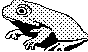 FROG2.BMP