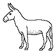DONKEY.BMP