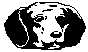 DOGFACE2.BMP
