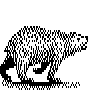 BEAR.BMP