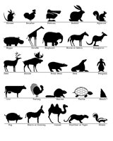 ANIMAL.BMP