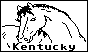 STKY.BMP