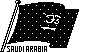 SAUDI.BMP