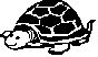 TURTLE.BMP