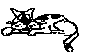 CAT.BMP