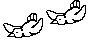 BIRDS.BMP